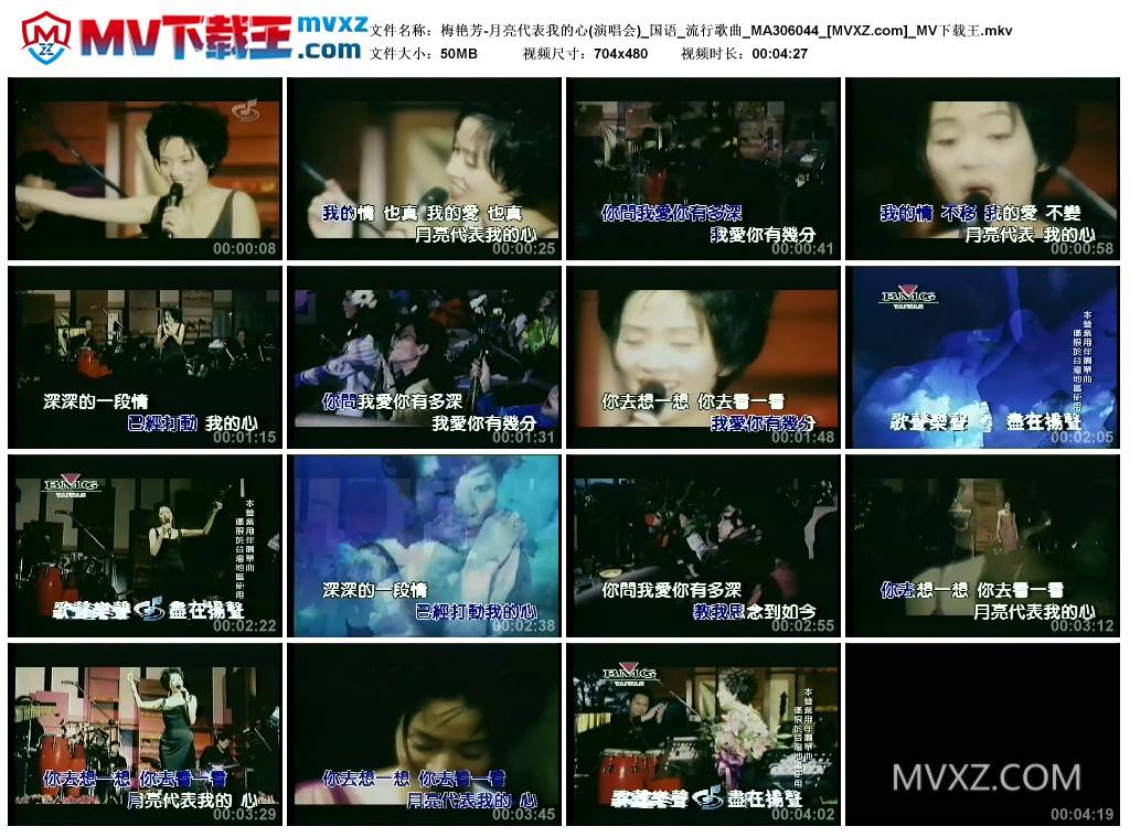 梅艳芳-月亮代表我的心(演唱会)_国语_流行歌曲_MA306044